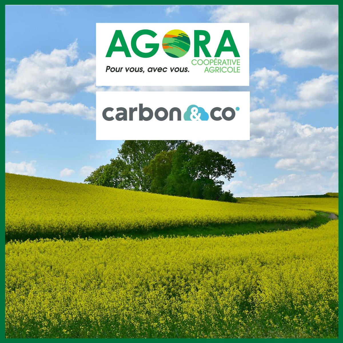 Agroécologie & Partenariats | Nous sommes ravis d'annoncer notre partenariat avec Carbon&co pour la labellisation d’un projet label bas-carbone et le financement de crédits #carbone, une étape vers une agriculture plus durable. 🔍🌾Plus d'infos ici : coopagora.fr/actualites/ago…