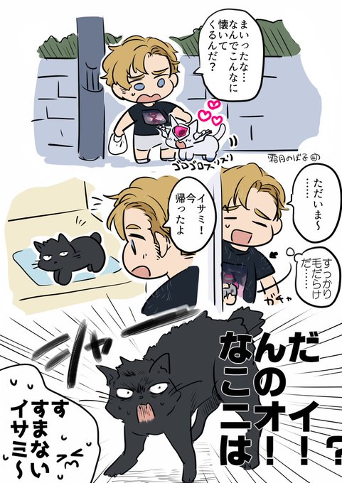 (スミイサ風味)(猫)
なんか違うみたいだったけど供養しとくね 