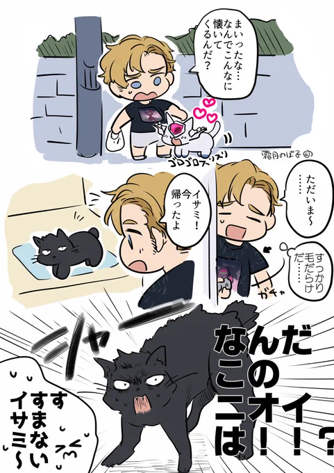 (スミイサ風味)(猫)
なんか違うみたいだったけど供養しとくね 