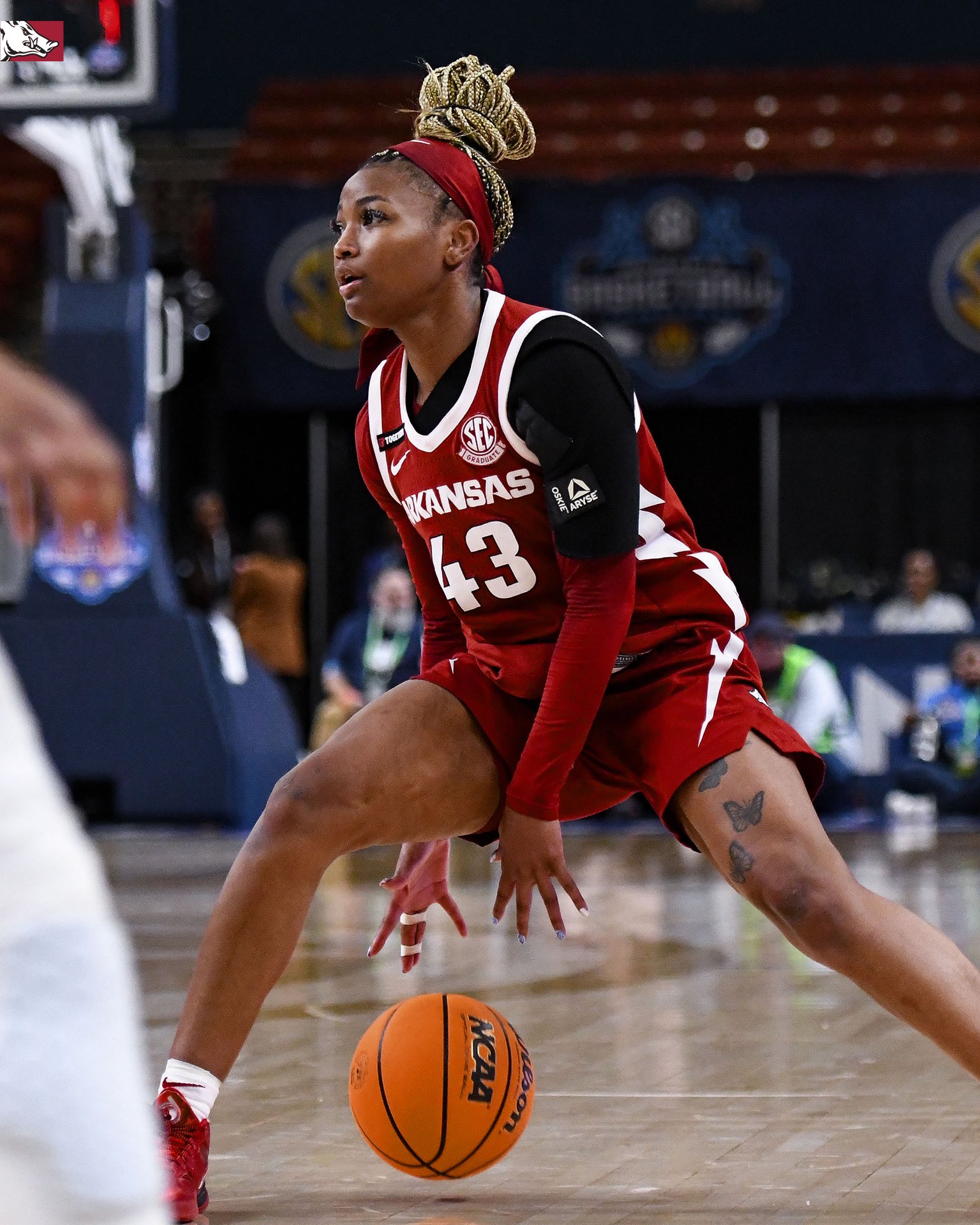 Arkansas 2024 women's basketball