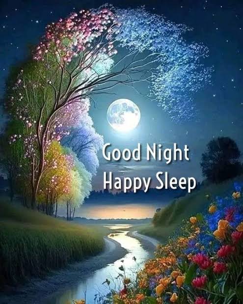 Good Night😴😴😴