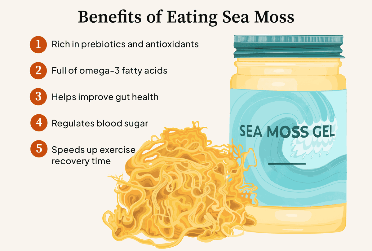 olajosh_jayjay's tweet photo. Discover the ocean's secret to vibrant health with our premium seamoss! Packed with essential mineralsExperience nature's gift in its purest form – try our seamoss today and unlock a healthier you
For more information about our product check our website at https://t.co/4c2ypMRF3T https://t.co/K2ITeorag3