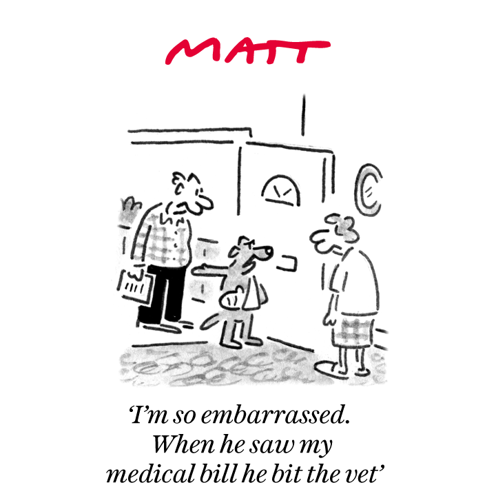 ✍️ 'I'm so embarrassed. When he saw my medical bill he bit the vet' My latest cartoon for tomorrow's @Telegraph Buy a print of my cartoons at telegraph.co.uk/mattprints Original artwork from chrisbeetles.com