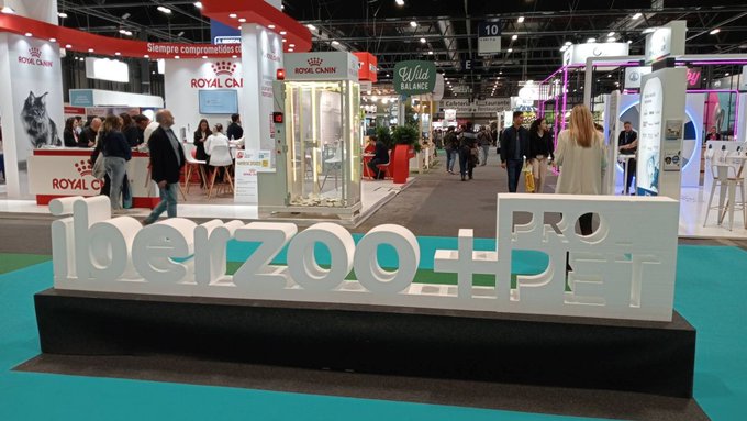 🐾<a href="/IberzooPropet/">Iberzoo+Propet</a> gaat morgen van start <a href="/IFEMA/">IFEMA MADRID</a>  MADRID, 235 exposanten, waarvan 20% internationale deelnemers. Naast de commerciële activiteiten omvat het evenement een gevarieerd programma, waaronder het 41e VetMadrid Congress en de Veterinary Classroom 
#Petcare  #AnimalLovers