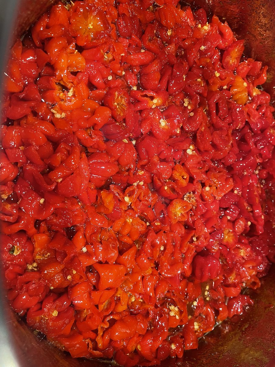 DevonChilliMan's tweet image. Habanero Fire 🔥 Candy 🍬 

BACK IN STOCK 

The ultimate deliciously tasty sweet &amp;amp; fiery hot snack, great with absolutely anything or eat straight from the jar as they are that good!

Grab yourself a jar now 👇

devonchilliman.co.uk/product/habane…