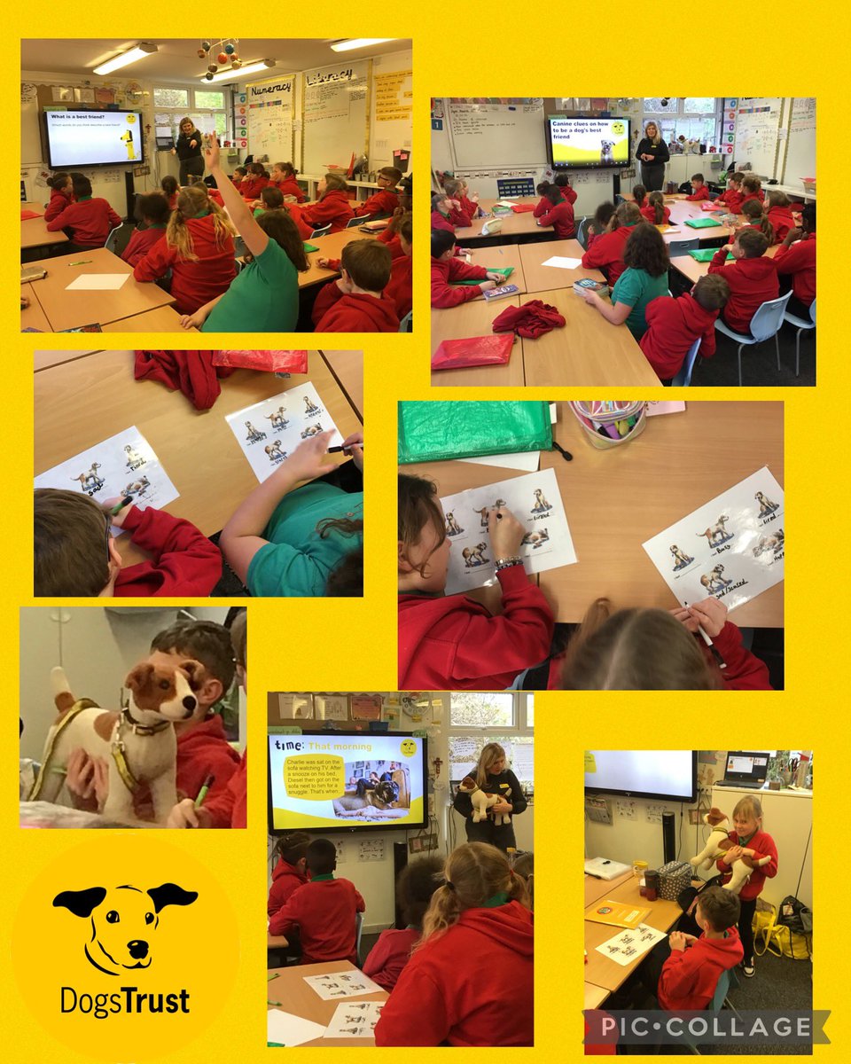 IA 3.1 Dosbarth Oak had a visit from @DogsTrust today, they taught the children how to be dog safe through an engaging presentation and practical lesson. @CSC_Wellbeing