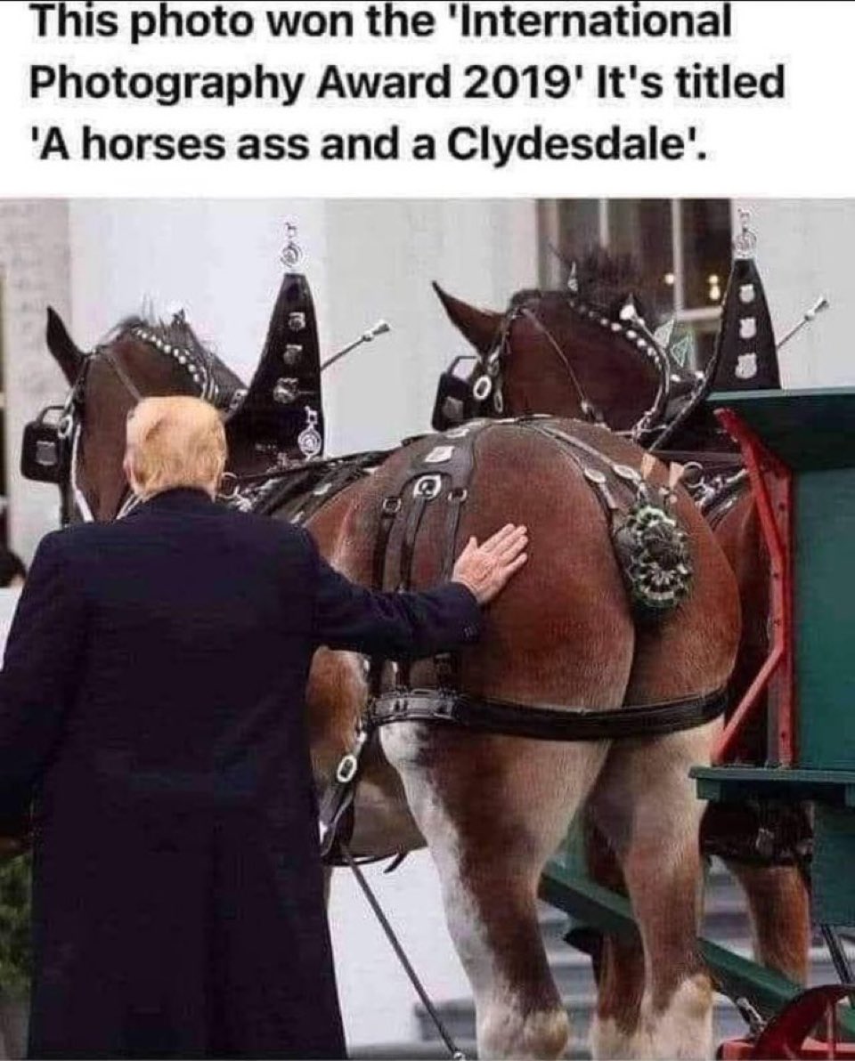 Mr. Muckle (@kavascott) on Twitter photo 