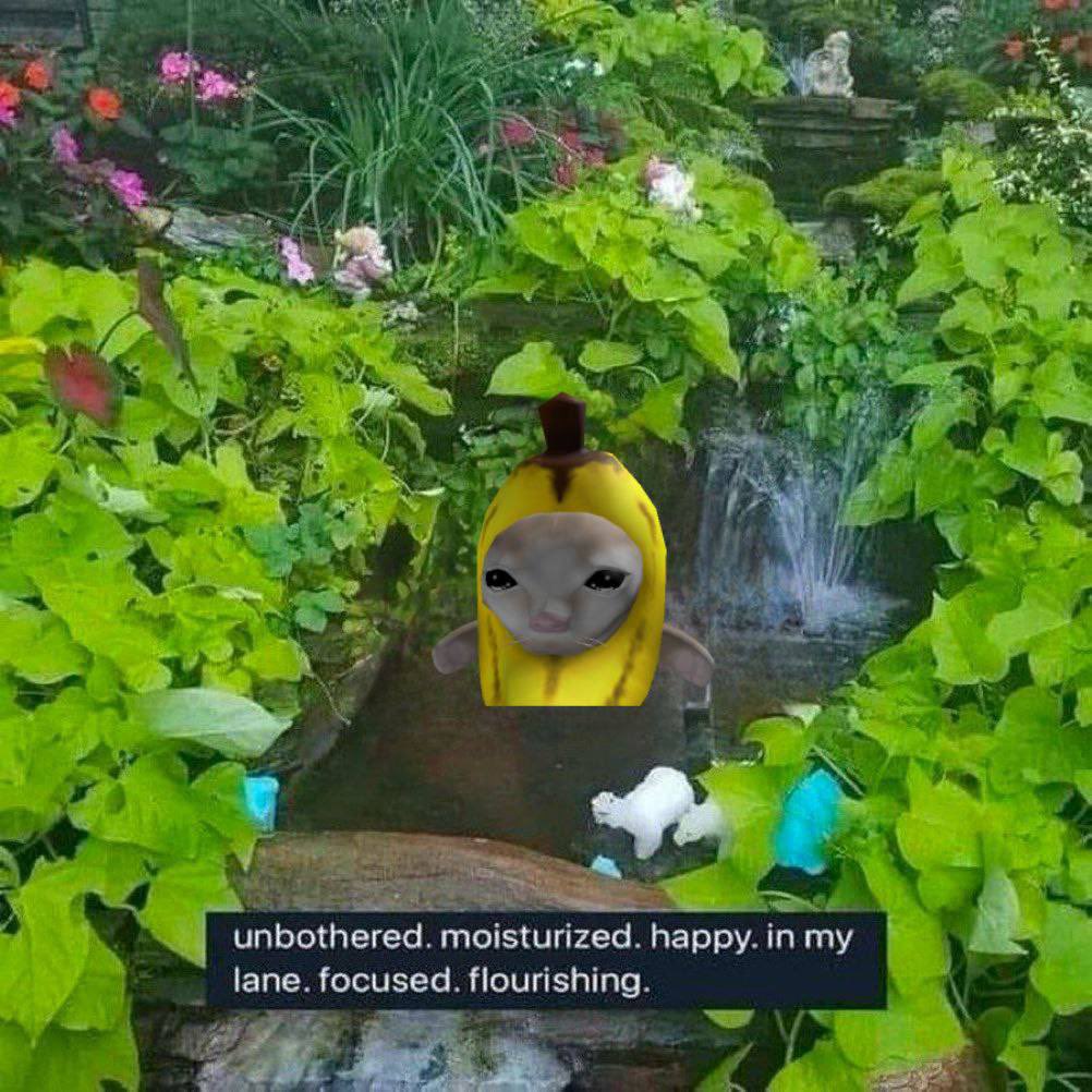 unbothered. moisturized. happy. in my lane. focused. flourishing. $BCAT