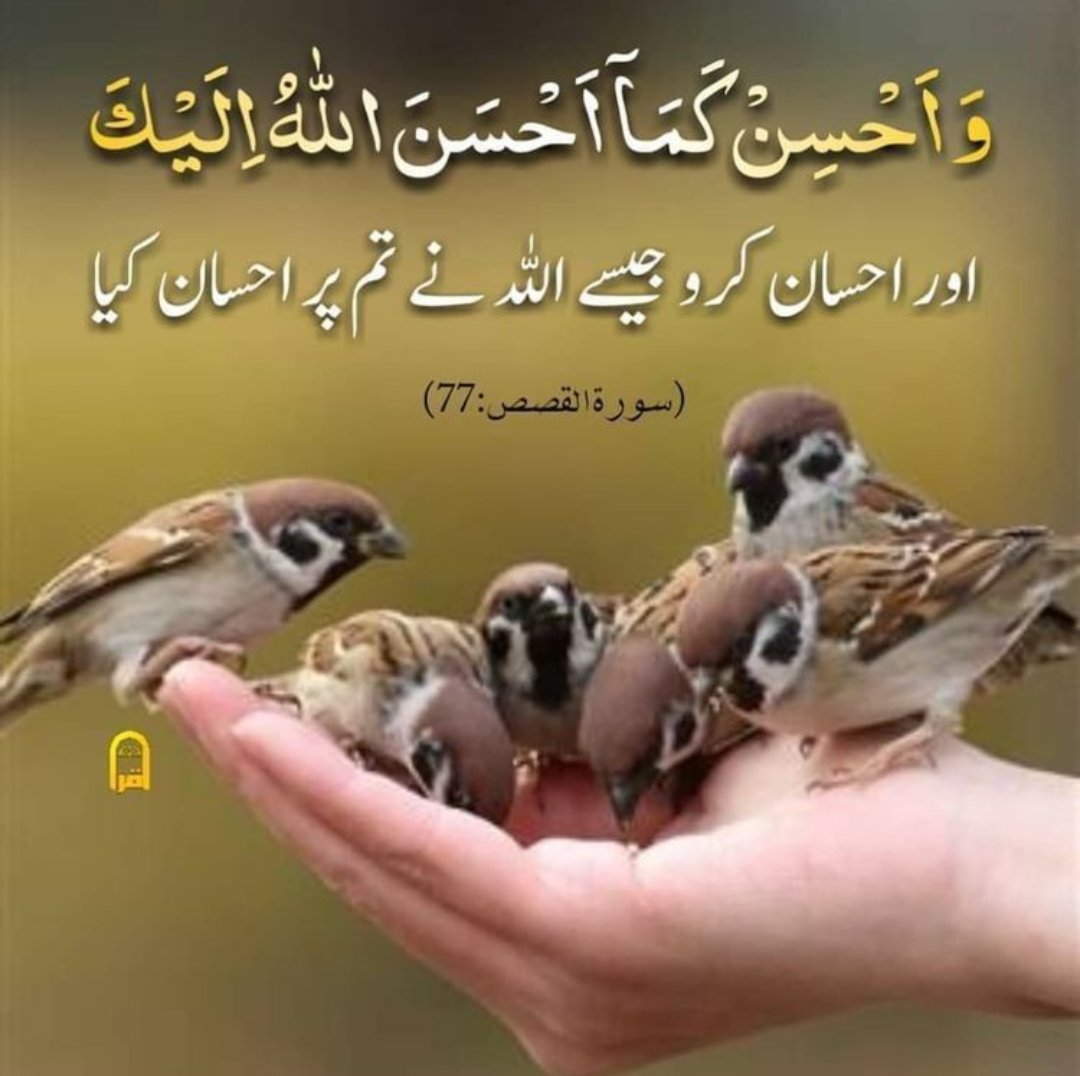 Abdul Razzaq tweet media