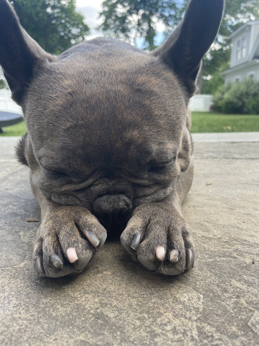 RIP Franc Towers - you were the BEST!