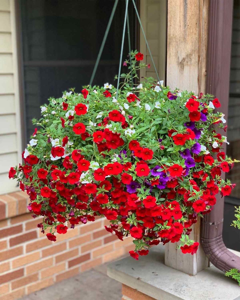 Lisa Tenbarge tweet media