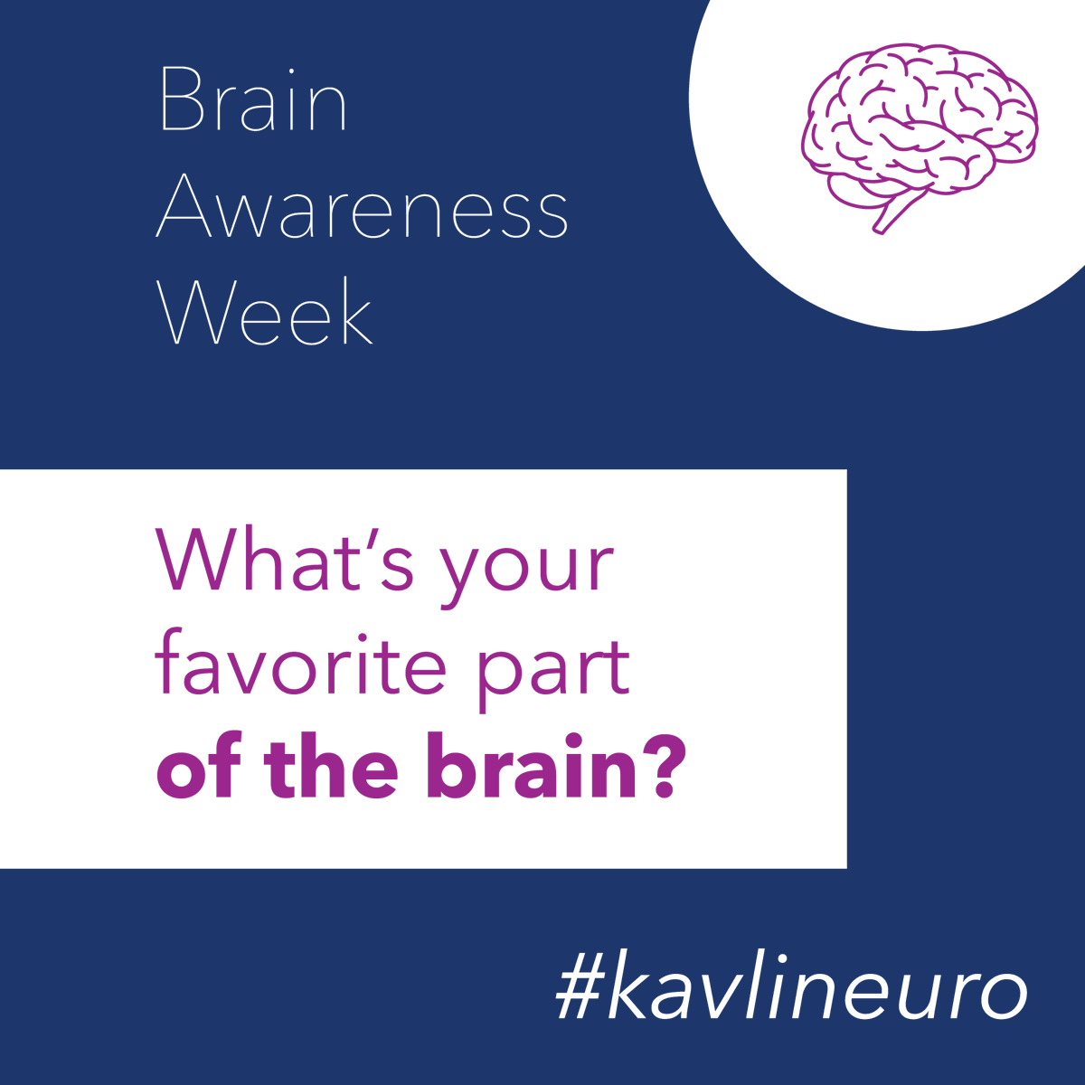 KavliFoundation's tweet photo. 🧠 It's #BrainAwarenessWeek! 🧠
We are celebrating this week by asking Kavli-affiliated neuroscientists, "What's your favorite part of the brain?" Follow along as we hear from them. https://t.co/ntRUt4WKxv