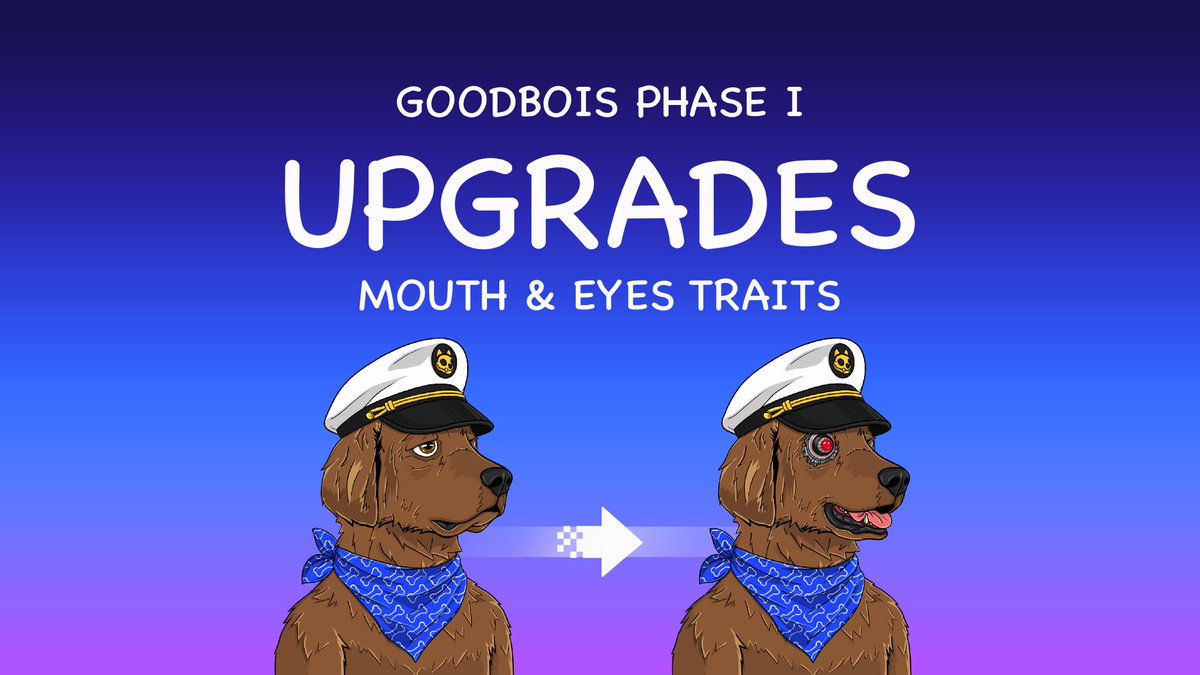 PyreneesPack.algo tweet media