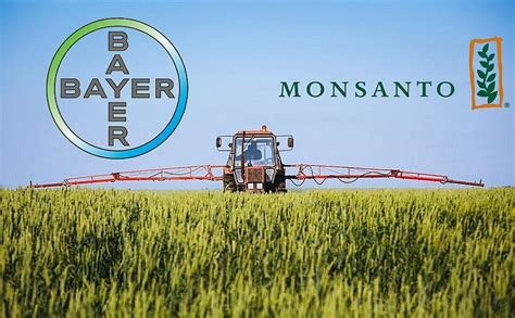 Krieger66362259's tweet image. L’ingrédient clé du #RoundUp est le glyphosate. 
La présence de #glyphosate dans le corps a été associée à des maladies comme l'autisme, le cancer et la Sclérose en plaques (SEP)…
#Monsanto #Bayer #BigPharma #cancers #SEP #Autisme