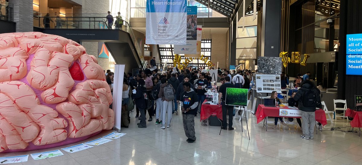 EricJNestler's tweet image. Mount Sinai&apos;s 2024 Brain Fair! One of my favorite days of the year! @SinaiBrain @dana_fdn #BrainAwarenessWeek2024