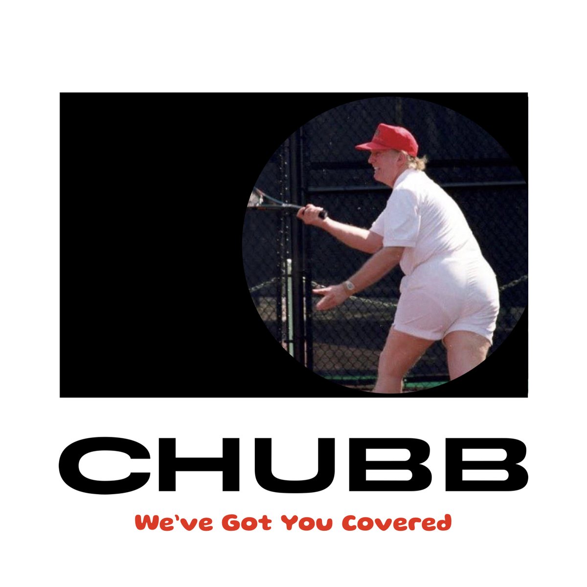 ibble's tweet photo. .@chubbna At CHUBB, we have the meats. 

Guess they're insuring the actions of the lil' chub too! https://t.co/EnwzKbYNSh