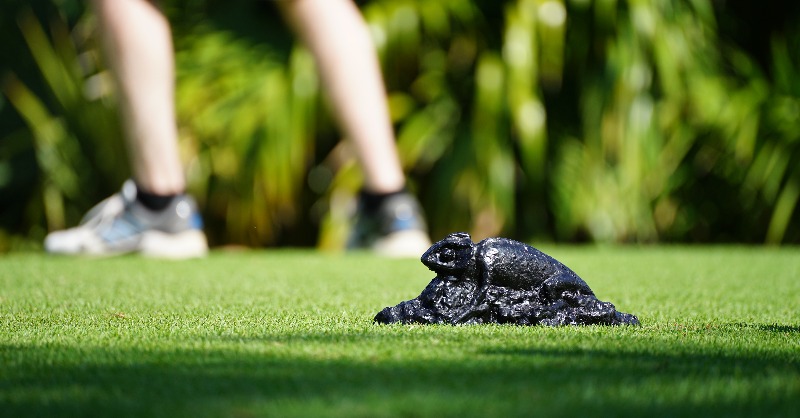 AJGAGolf's tweet photo. We're bringing it back!

The #MayakobaInv returns in May.