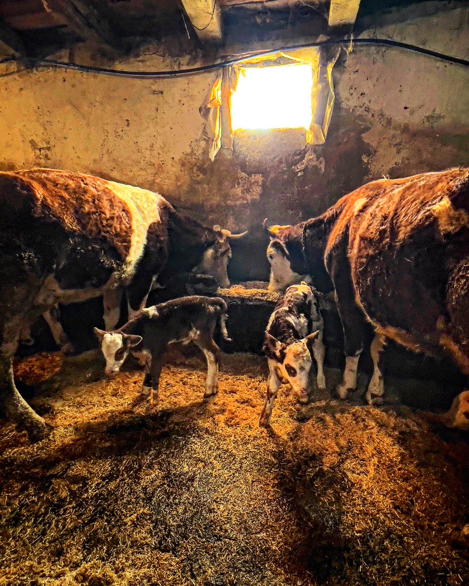 Ağrı’dan mutluluğun resmi…