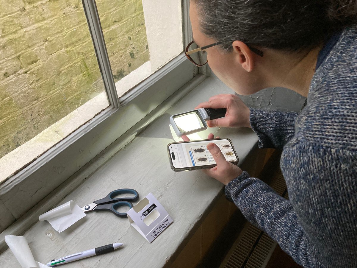 We always enjoy a good bug hunt @keatshouse, this year supported by our collections care #volunteer, Liza. Nothing to concern us too much this time around, and nice to know we have done our little bit towards conserving this very special place for another 200 years plus!