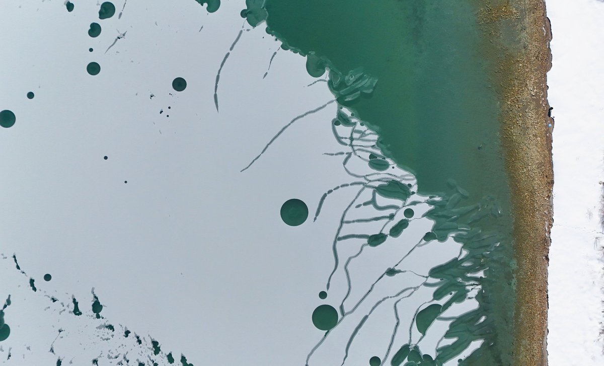 CDyerBearLake's tweet photo. Mysterious ice circles who knew winter could be so extra? Loving the frozen vibes though.
#Ice #Weather #bearlakeutah #utahcheck #icecircles #lake #Utah #landscaping #Drone https://t.co/G2Ri8sT7rQ