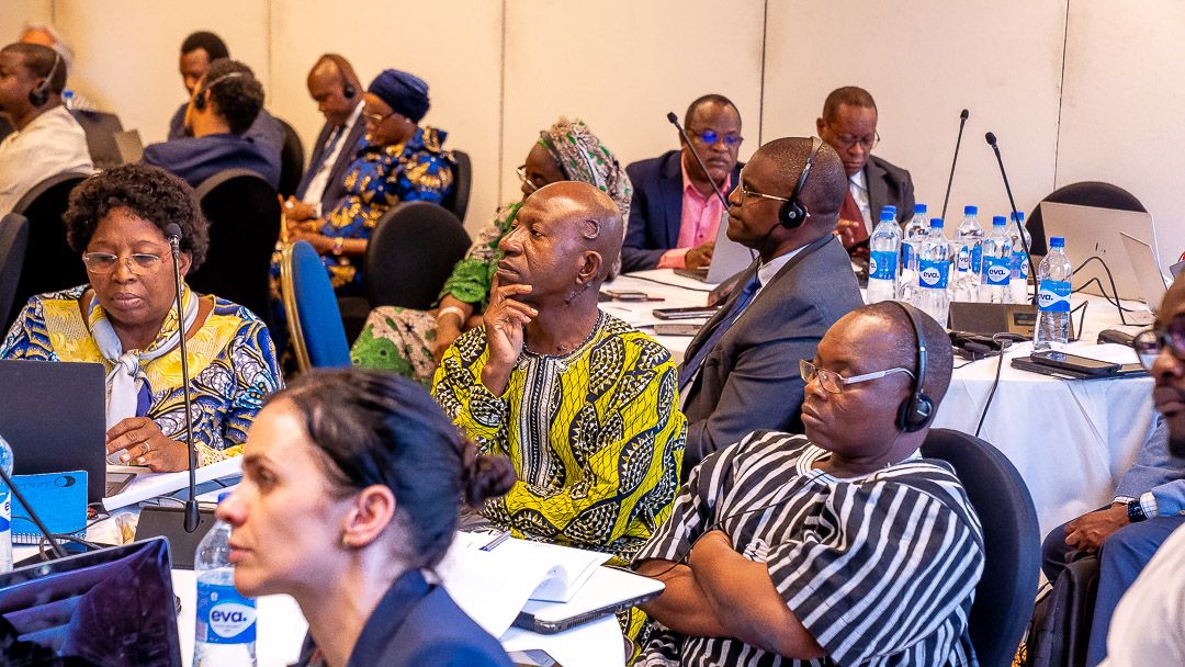 In a 4-day workshop, Directors of #NPHIs, senior officials from Ministries of Health, as well as technical and financial partners, are gathered to discuss the 'Establishment and Strengthening of National Public Health Institutes in West Africa' In his remarks, our DG, Dr Jide