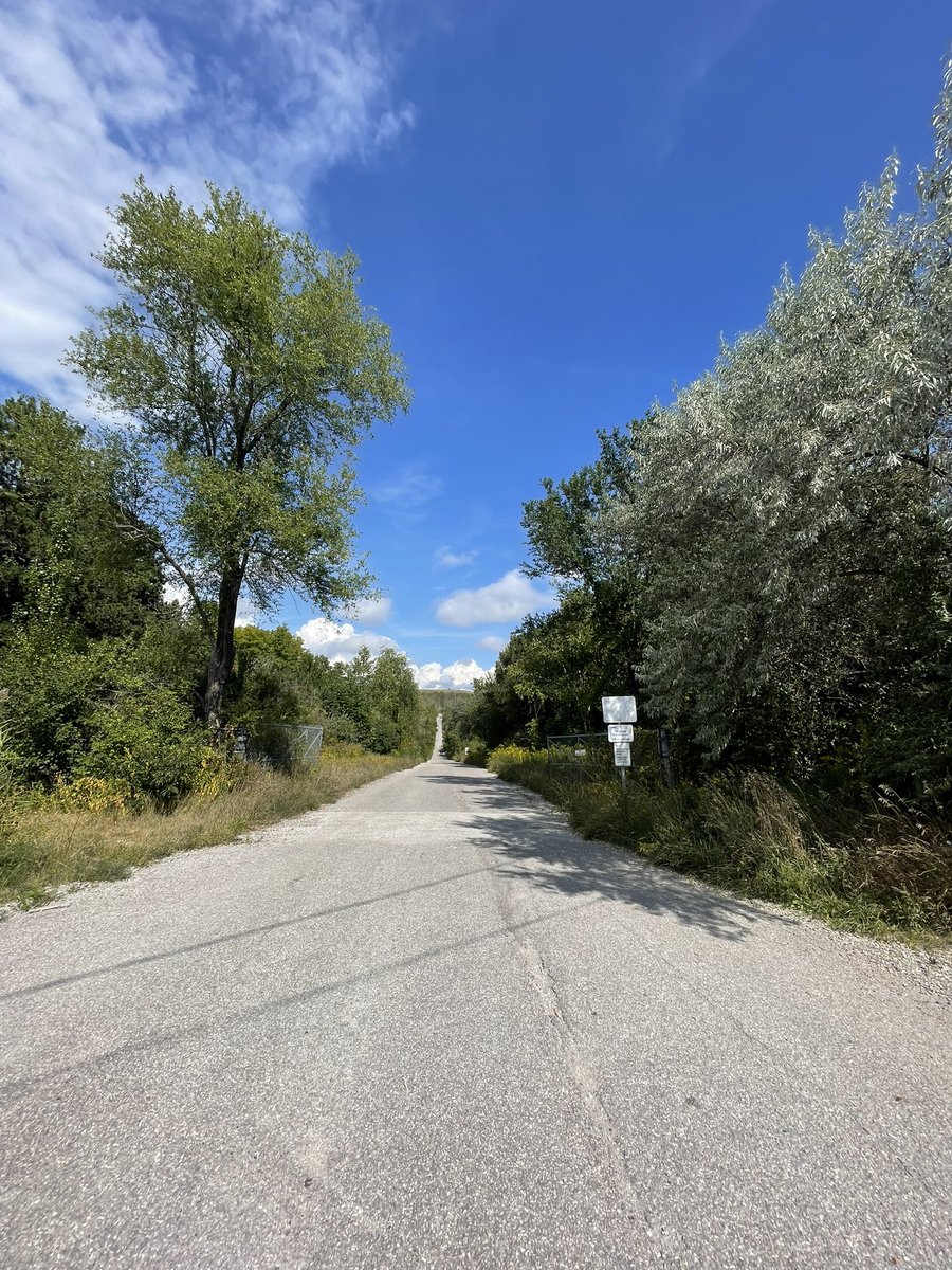 In love with the process, long way to go.