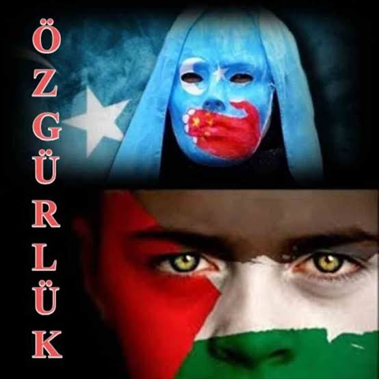 Doğu Türkistan
Filistin
Özgürlük