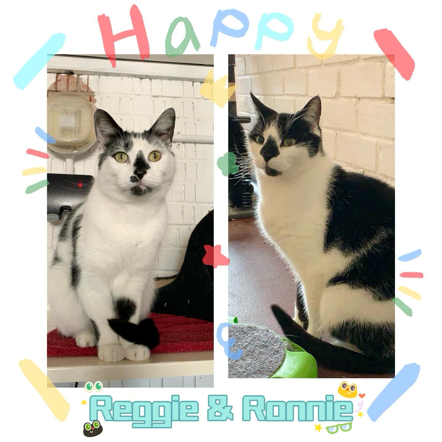 Redgate Farm Animal Sanctuary OfficialRedgate X