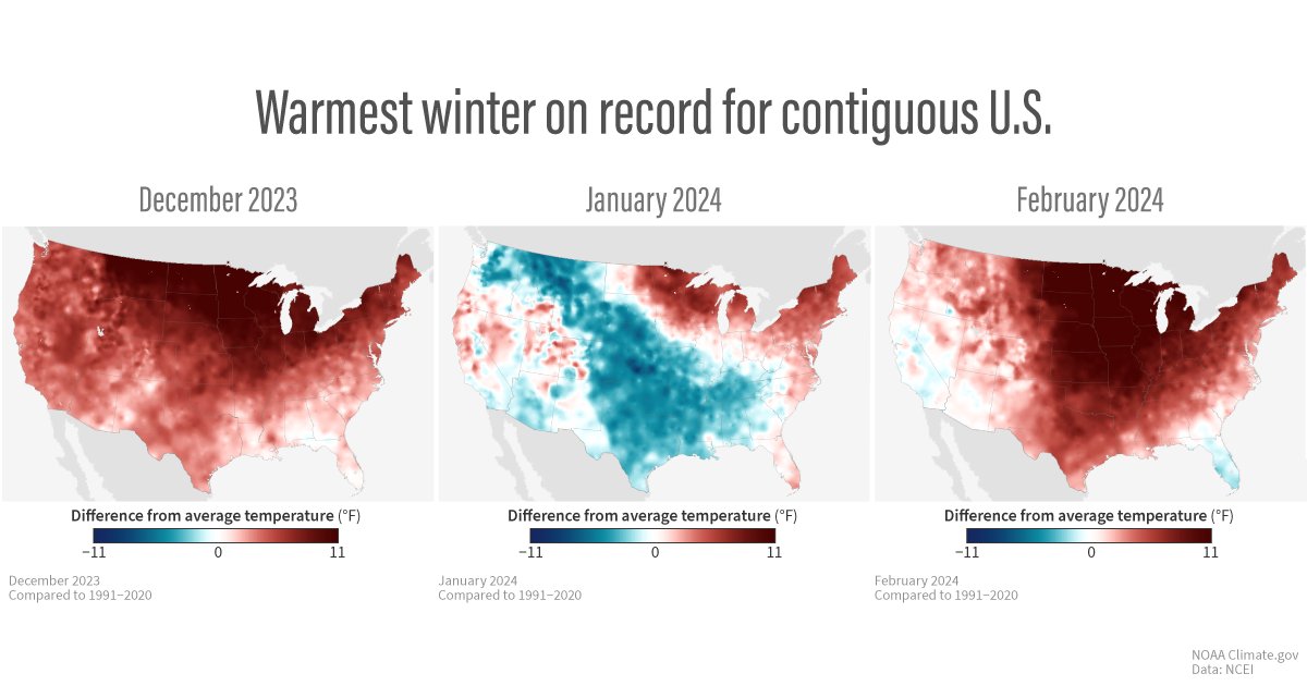 January's cold spell was no match for the warm sandwich of December and February. Overall, it was the warmest winter on record for the U.S. climate.gov/news-features/…