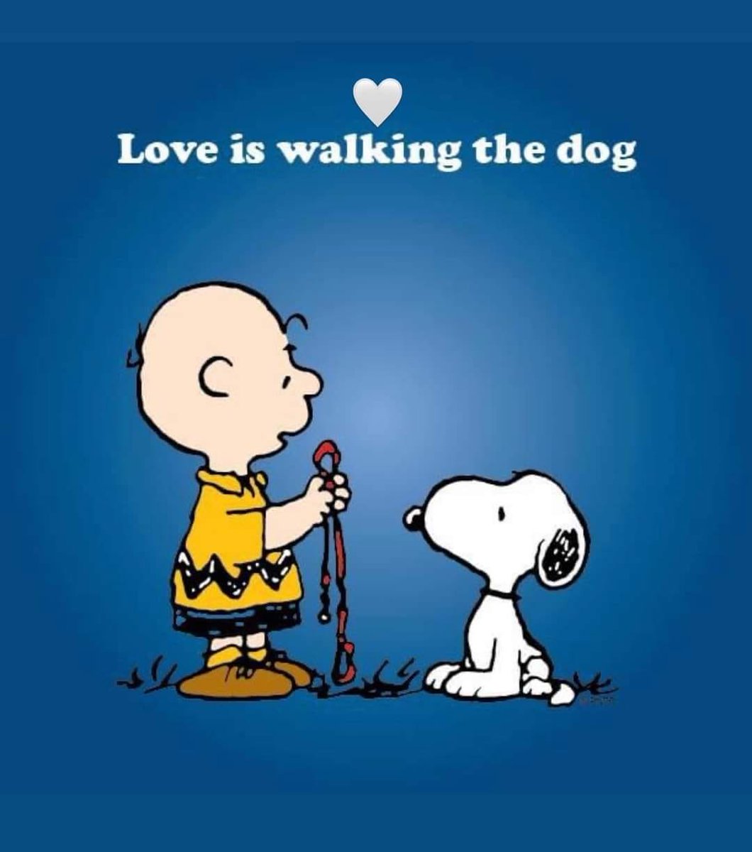 DutchM882 (@dutchm882) on Twitter photo 