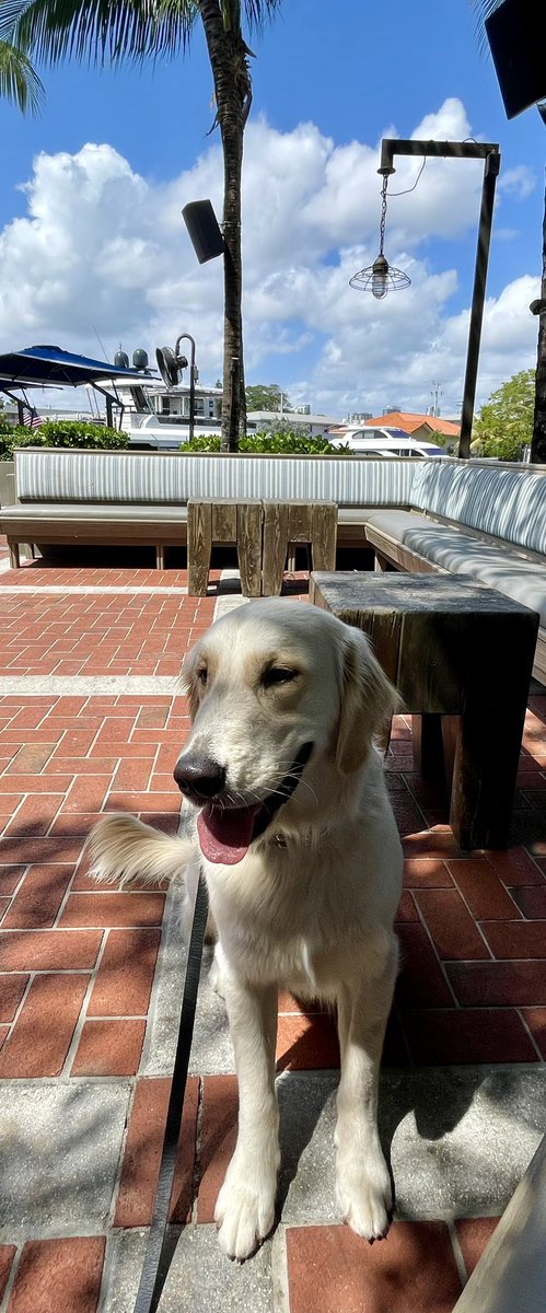 Living the good with my guy.