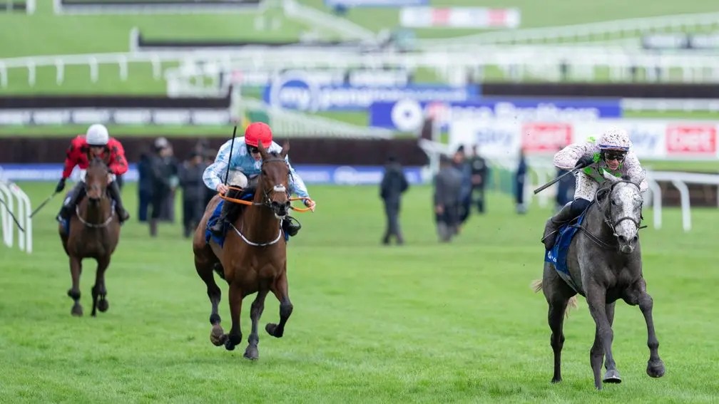 Brennan07Gary's tweet image. Lossiemouth absolutely destroys the opposition @CheltenhamRaces, streets ahead on class from the rest, another star bred by Elevage des Vallons and Ian Kellit, congrats to all connections. Honorable mention to the pacemakers who done their job well