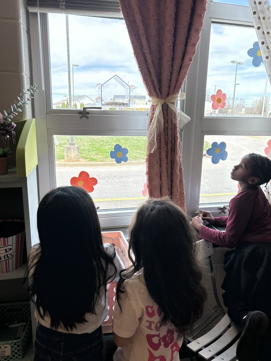 Lindsay Brooks tweet media