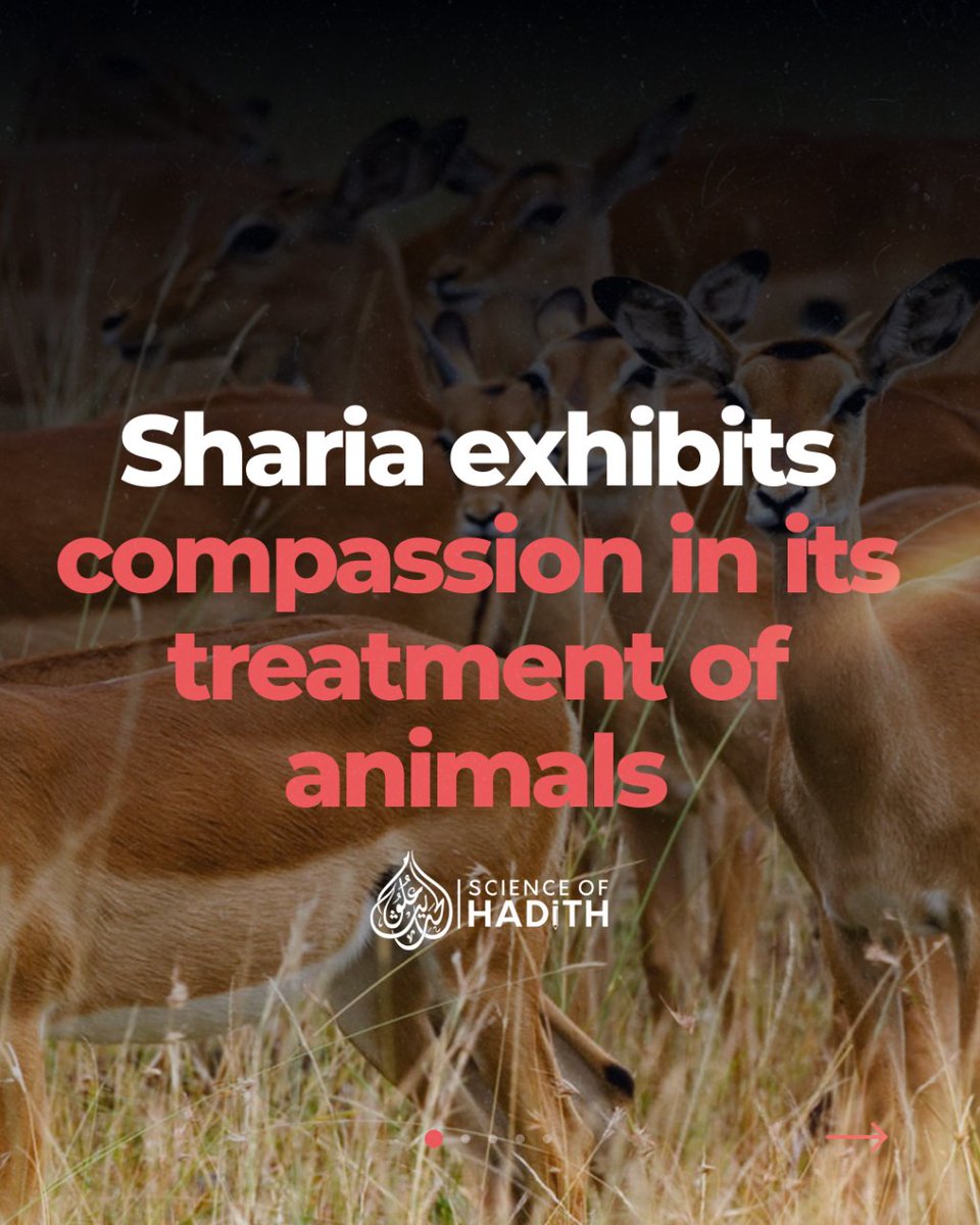 Scienceofhadith tweet picture