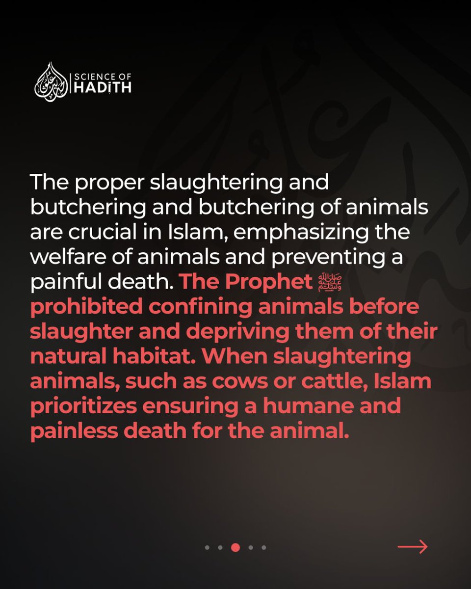 Scienceofhadith tweet picture
