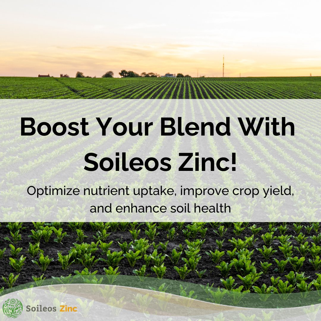soileos's tweet photo. Elevate your blend with Soileos Zinc this spring! Soileos Zinc optimizes nutrient uptake, supporting healthier plants and improved yields. Speak to your local agronomist today about integrating Soileos into your spring plan! 🌱 #Soileos  #SpringStartUp #plant24 #CdnAg https://t.co/1m2Ecpcr7e