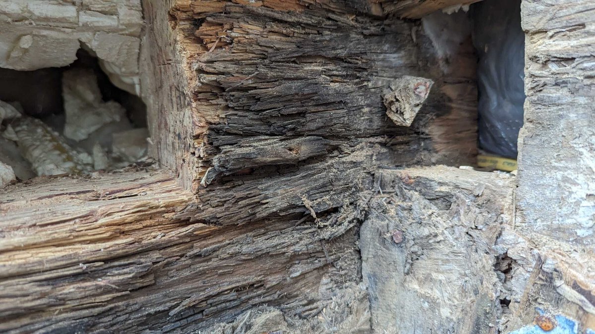 Check out this detailed shot of dry rot straight from the field! 😱 Amazing what a little fungus can do to wood over time. #DryRot #HomeMaintenance #ConstructionInsights