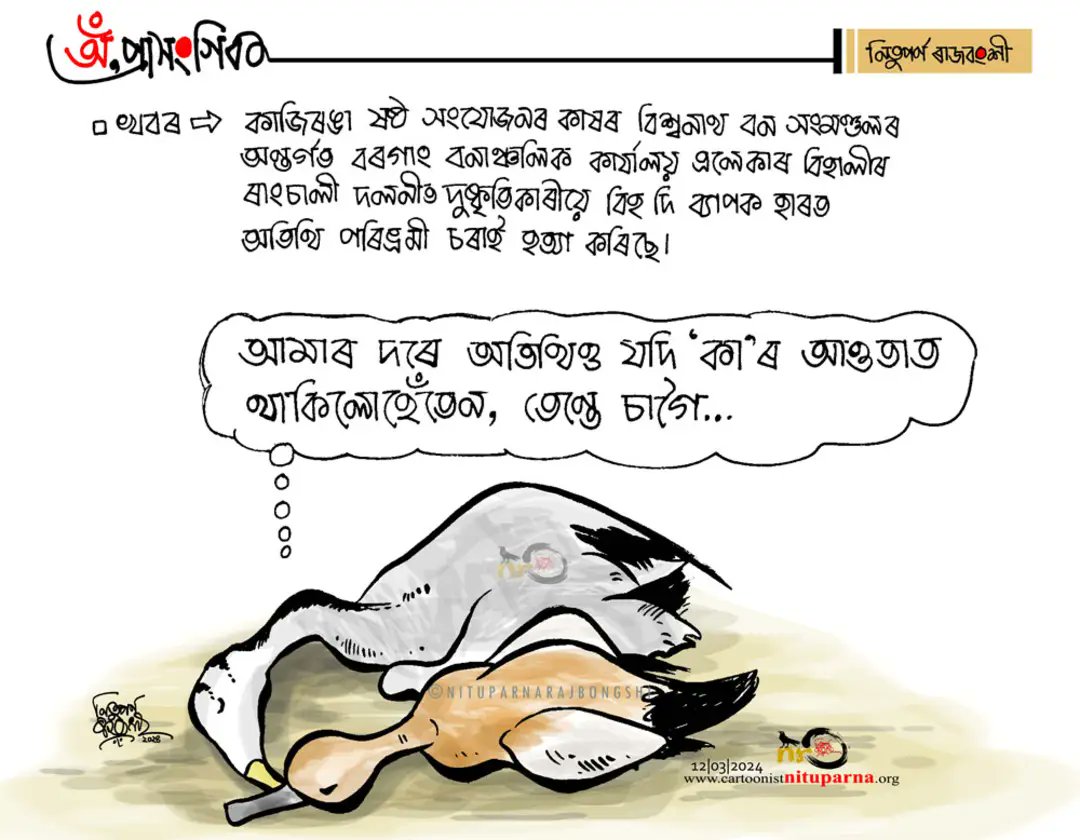 NituparnaRaj's tweet image. #migratorybirds #poison #savebirds #CAA #kaziranga #Assam cartoonistnituparna.org