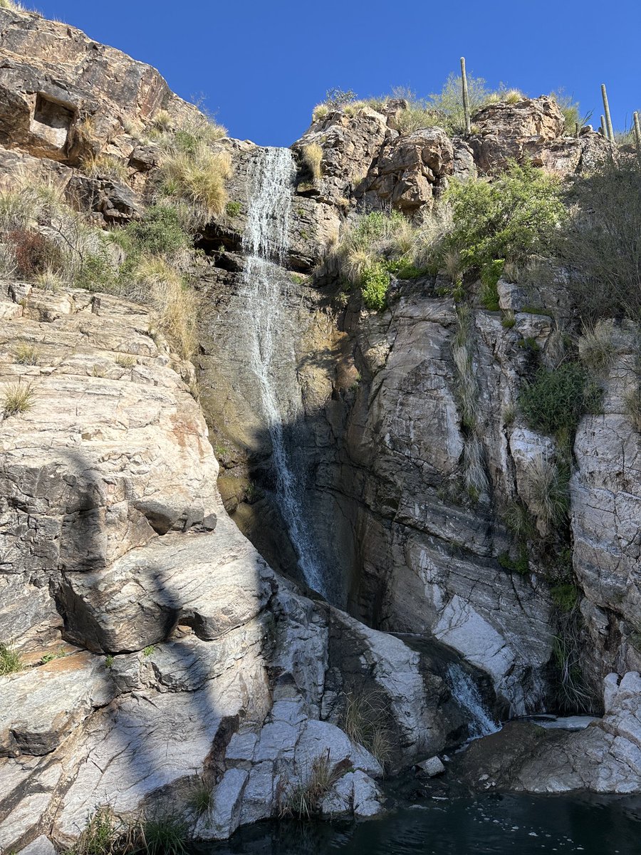 I had a wonderful time at the Tucson Festival of Books. A star in the Author Walk of Fame. Great audiences. A LADY TAN cookie from a fan. A walk to a waterfall. ⁦@TFOB⁩