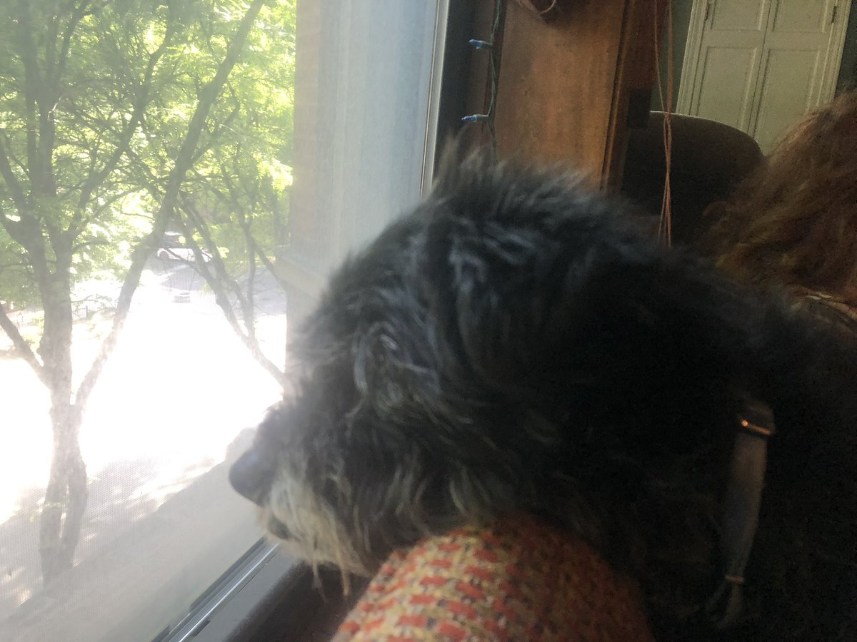 jonklemke's tweet photo. With all the threats coming in because of the #108Tourney my campaign manager is on high alert. @fromthe108
Remember tomorrow first thing to #VoteJon and #SaySayonaraSenor! https://t.co/93QzmNyGOx