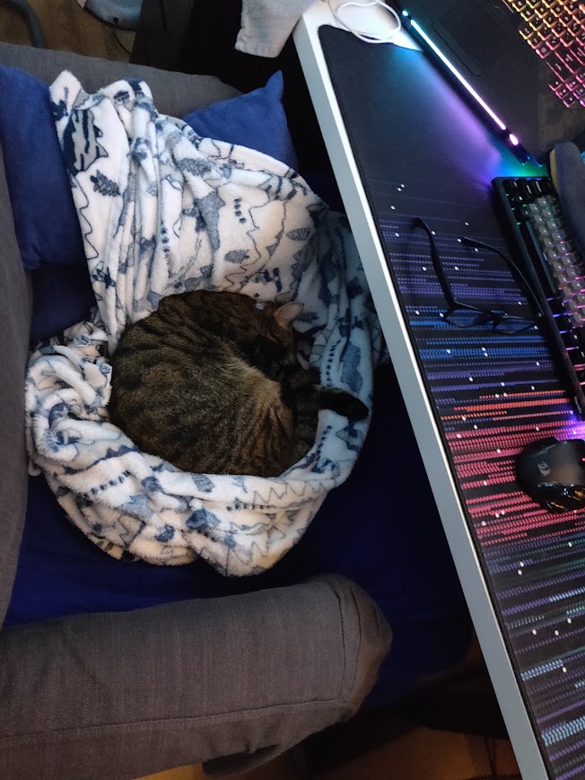 Lost mah seat