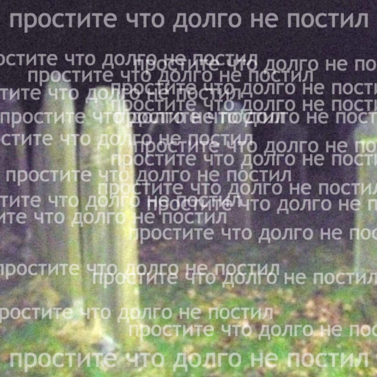 dariaflekh's tweet photo. https://t.co/4wdrg535Q6