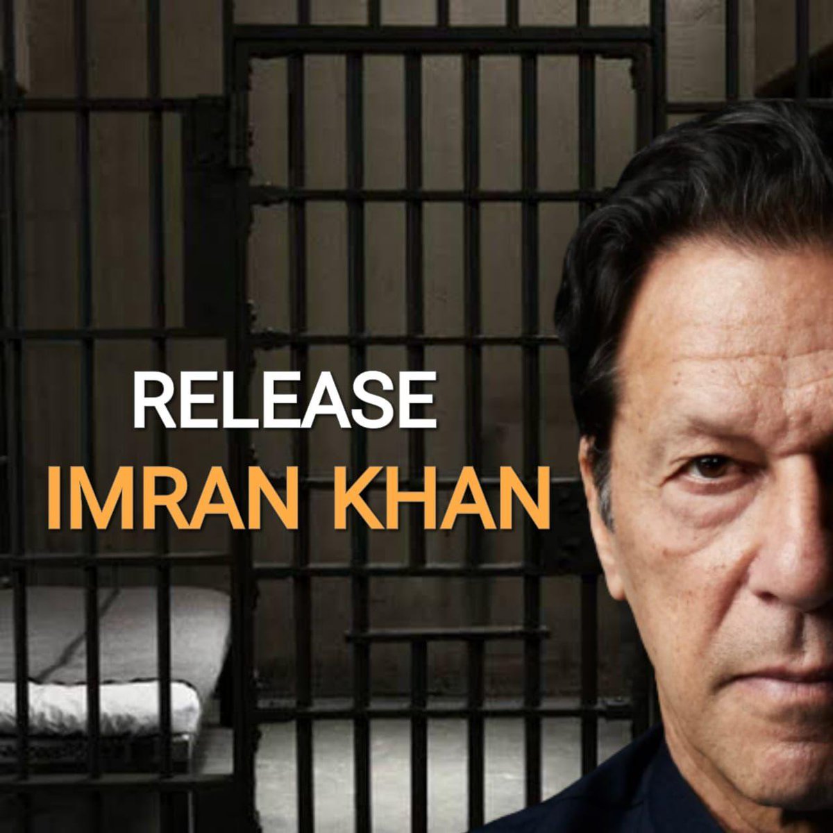 Release our kiptan @TeamiPians #رہا_کرو_عمران_خان_کو