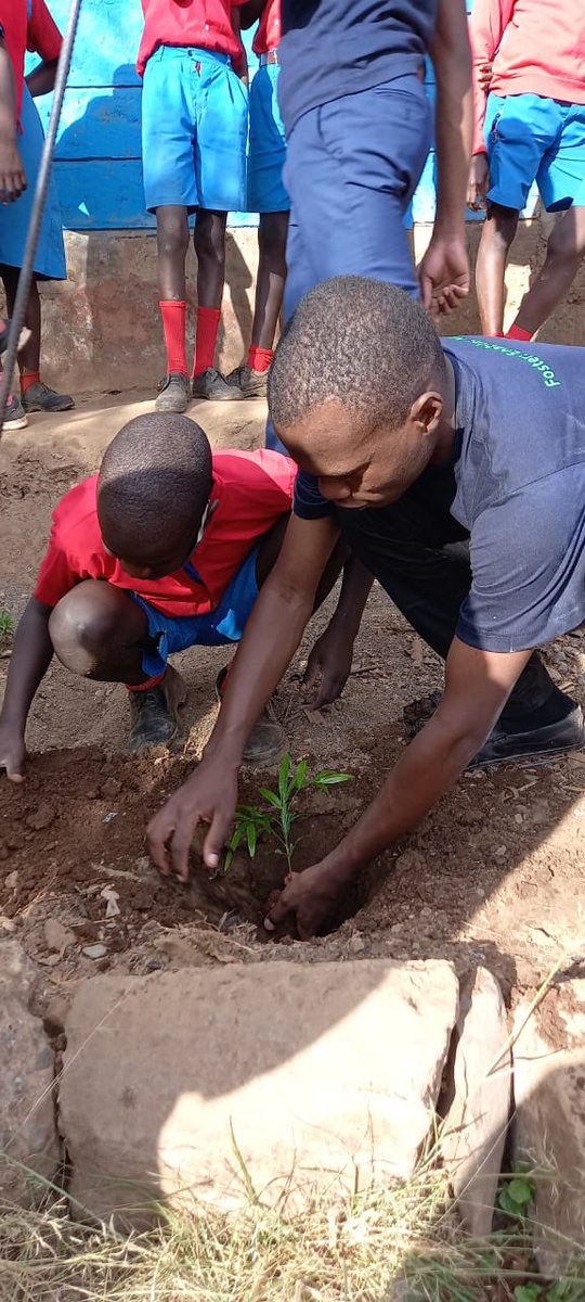 Weforestinter's tweet photo. Our amazing volunteers planted 100 trees today! Every tree counts in the fight against climate change. Want to get involved? Sign up for our next volunteer event! #volunteers #reforestation #citizentv #presidentruoatabsmall #amerix #crownbus #stabbed https://t.co/HMxjZEstEy