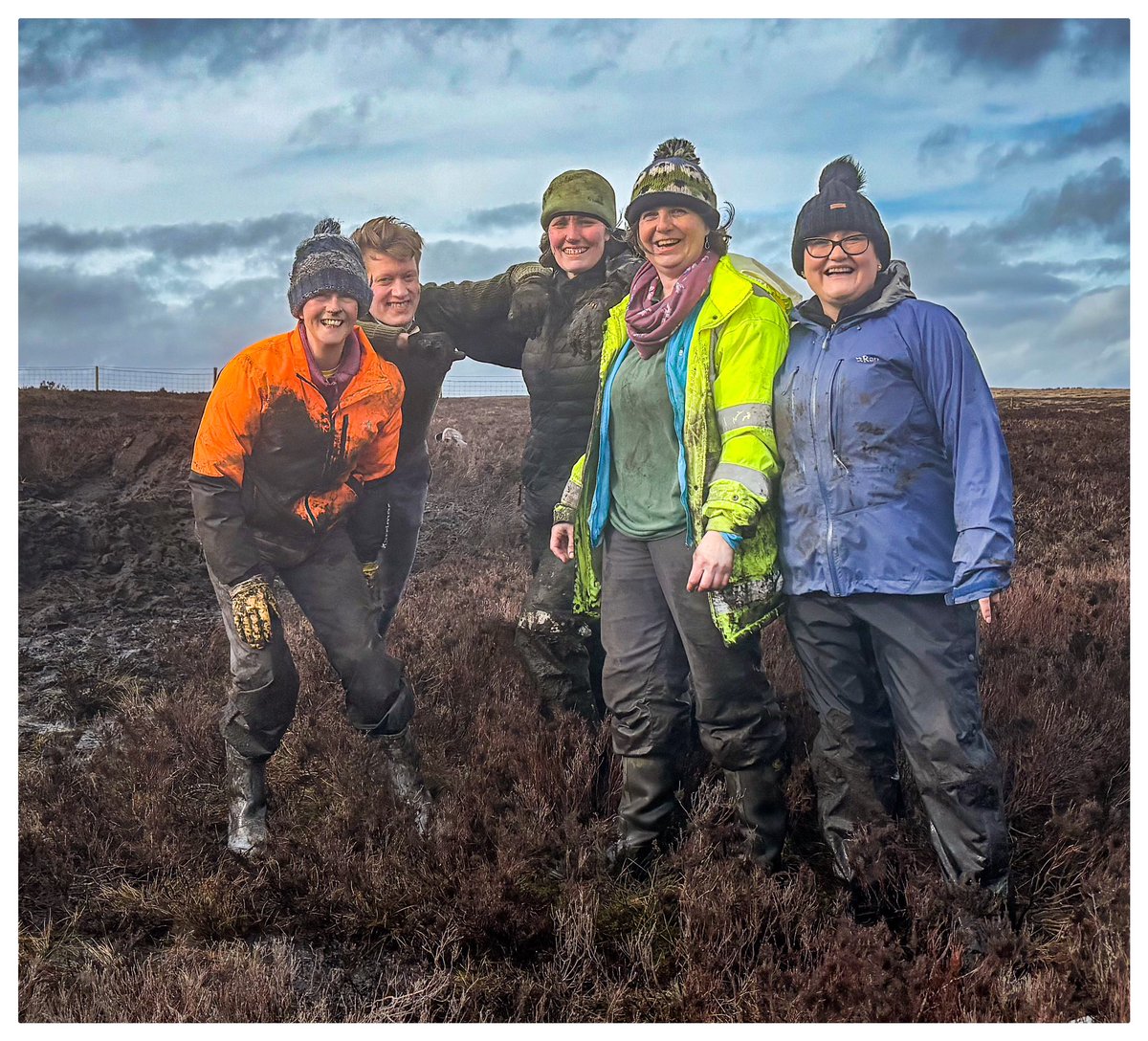 I really recommend a couple of hours making bunds to raise the water table to create the best conditions for #sphagnum moss to grow. I worked with volunteers and @calderdale colleagues @OgdenWater. Good for my wellbeing, good for the moors and good for the planet!