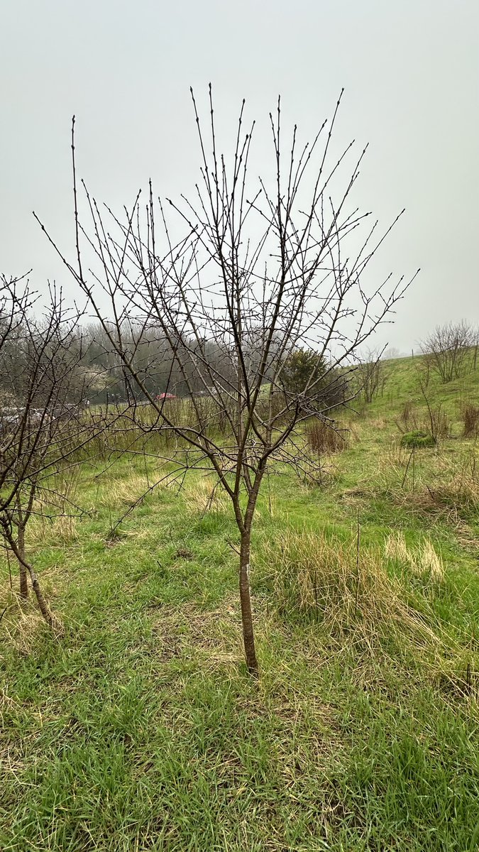 Dr Dan Danahar tweet media