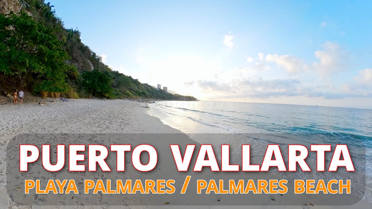 Conoce Playa Palmares de Puerto Vallarta Jalisco México / Palmares Beach... youtu.be/Li7ZpTCIfX0?si… via @YouTube