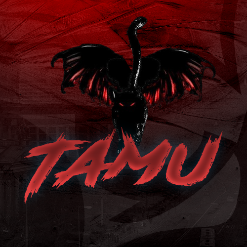 NEW LOGO İS FİRİNG 🔥🔥🔥 #TAMU #TAMULOADİNG