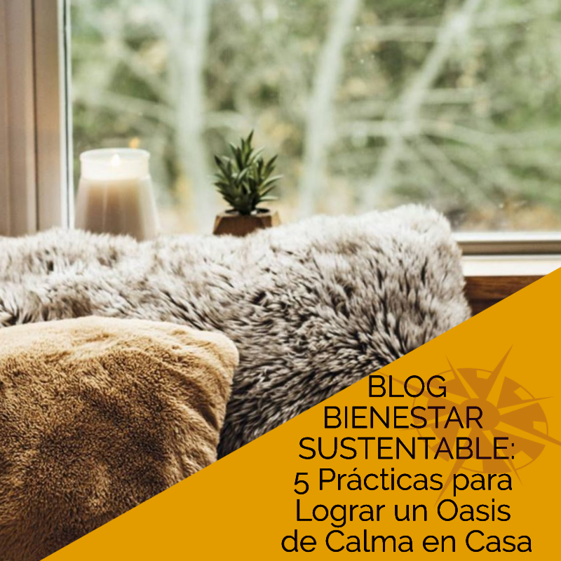 The_Chic_Noir's tweet photo. ¿Quieres desarrollar tu conexión espiritual y encontrar paz interior? Aqui tenemos unas ideas para ayudarte a lograrlo desde tu hogar.
https://t.co/zRltrHtxxz

#espiritualidad  #consejos #salud #bienestarpersonal 
#BienestarInterior #TheChicNoir #bienestarfamiliar #elabbaessence https://t.co/r1ToBcvZY1