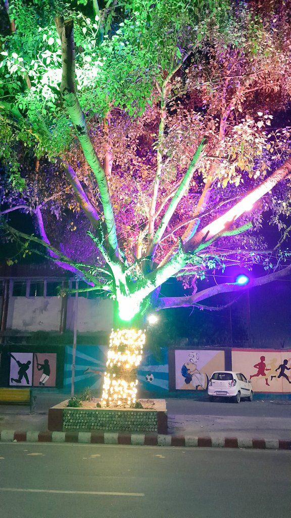 AnkiitG's tweet photo. @OfficeOfDMAgra @CMOfficeUP @PeepalBabaGMT @DEFCCOfficial greed of humans is not sparing the holy tree even, to decorate the city's night life,  trees &amp; its ecology are forced not to sleep at night, impacting its health
#lightpollution
#greedofhuman
#preservpeepal https://t.co/DzB7h0CodH